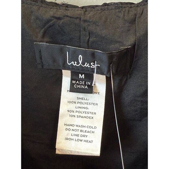 Lulus Black Sheer Swiss Dot Smocked Long Sleeve Top Women’s Size Medium Elegant - Picture 2 of 6